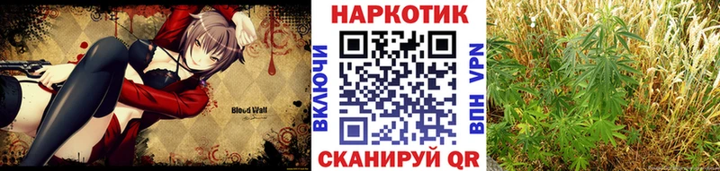 Купить наркотики цена Правдинск Вейп ТГК A-PVP Метадон Гашиш Псилоцибиновые грибы Кокаин