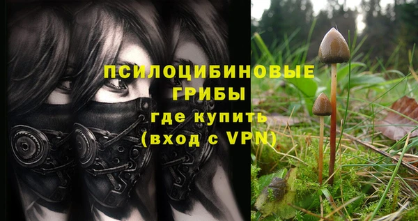 ешки Арсеньев